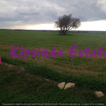 Земля в Чайрове